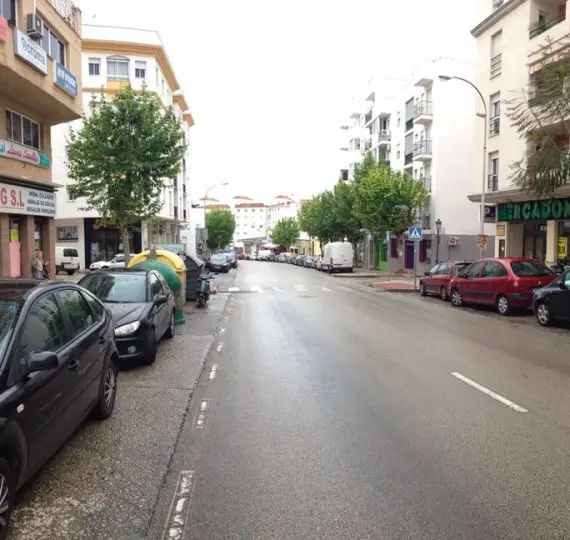 Long-term rent of shop in Estepona