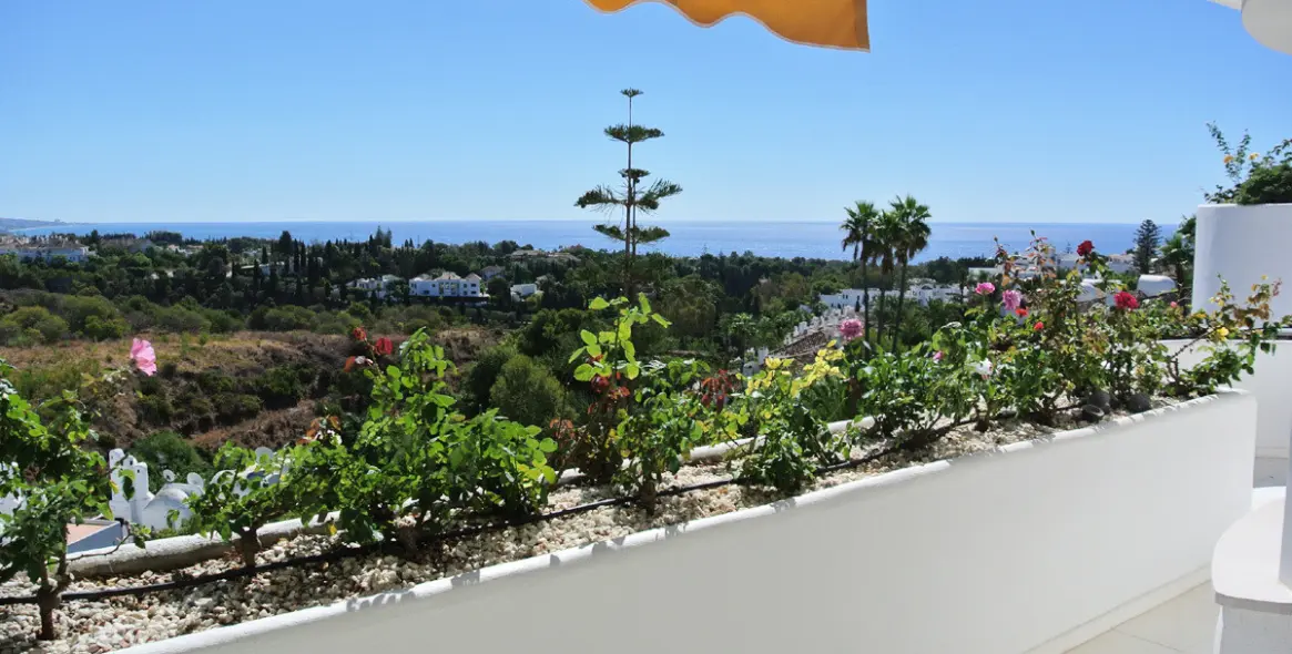 Long-term rent of penthouse in Marbella (district The Golden Mile) 1