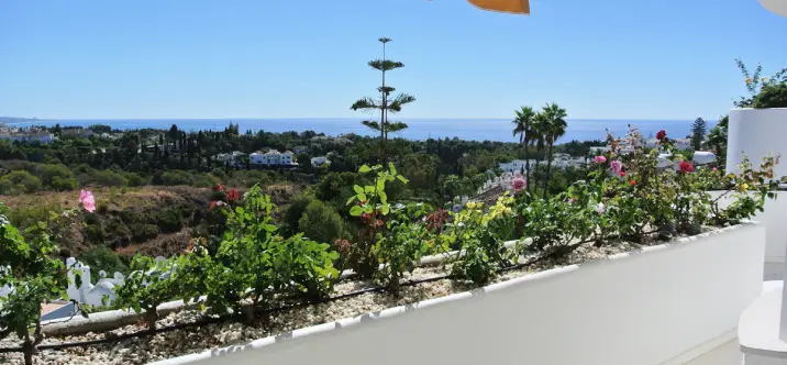 Penthouse R5137921 0