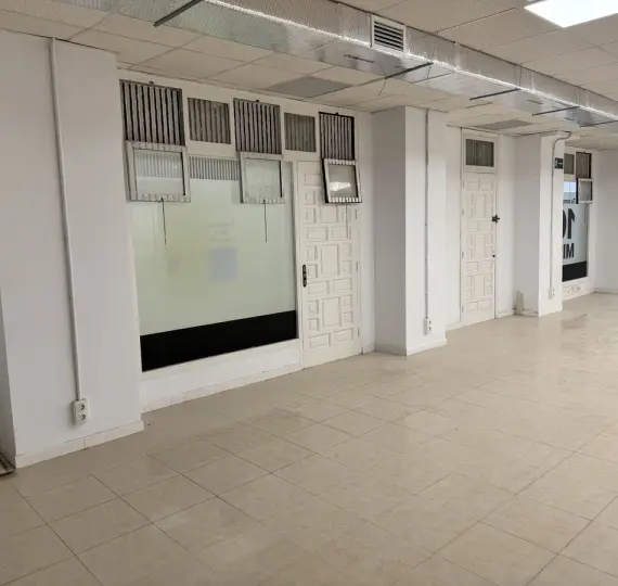 Long-term rent of commercial premises in Marbella