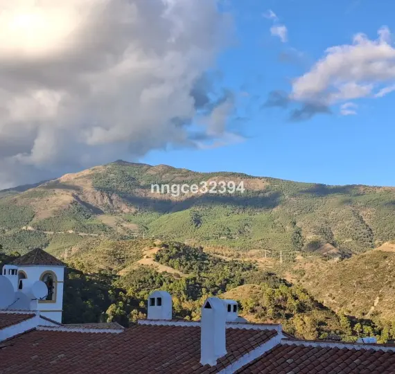 Sale of penthouse in Benahavís