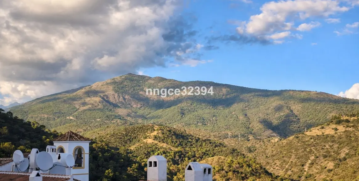 Продажа пентхауса в Benahavís 1