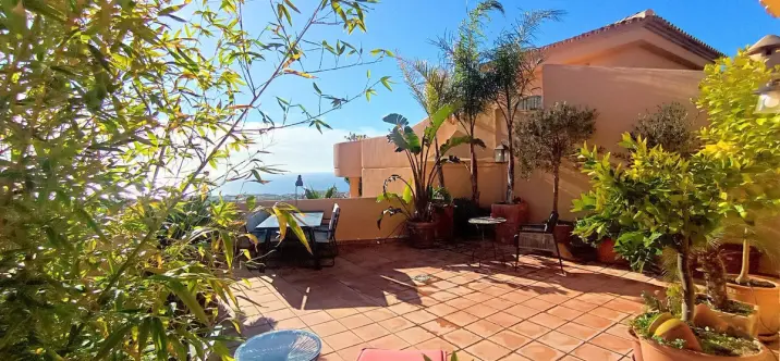 Sale of penthouse duplex in Calahonda 1