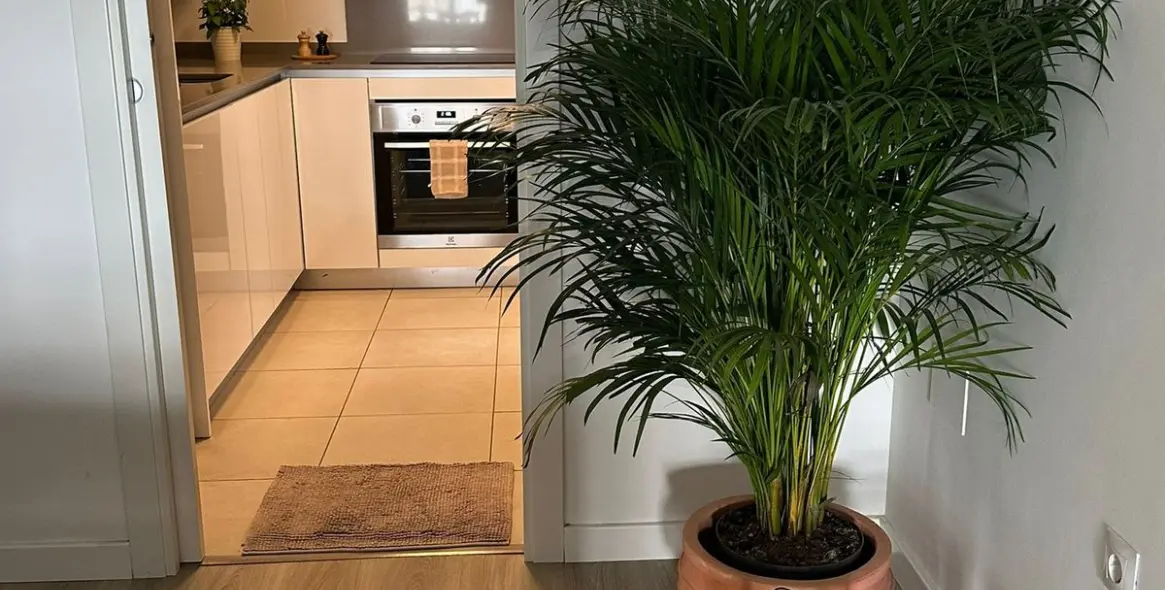 Продажа апартаментов на среднем этаже в Nueva Andalucía 15