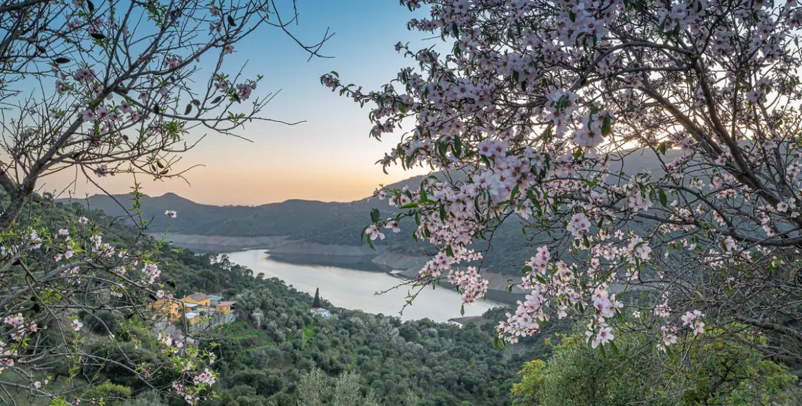 Sale of townhouse in Istán 30