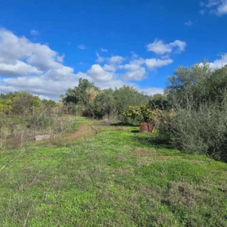 Sale of finca - cortijo in Estepona