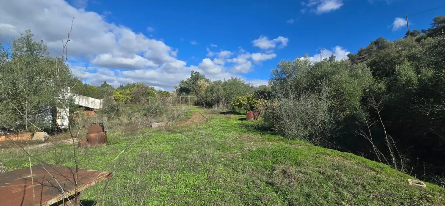 Sale of finca - cortijo in Estepona 1