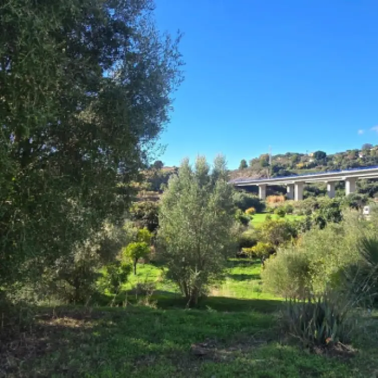 Sale of finca - cortijo in Estepona