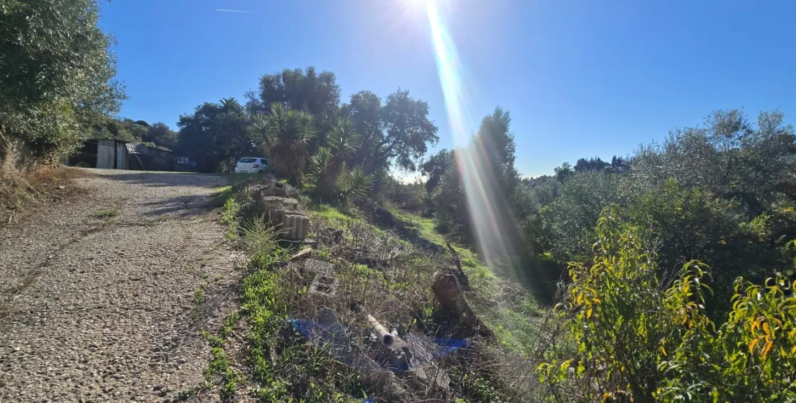 Venta de finca - cortijo en Estepona 5
