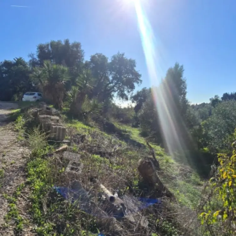 Sale of finca - cortijo in Estepona