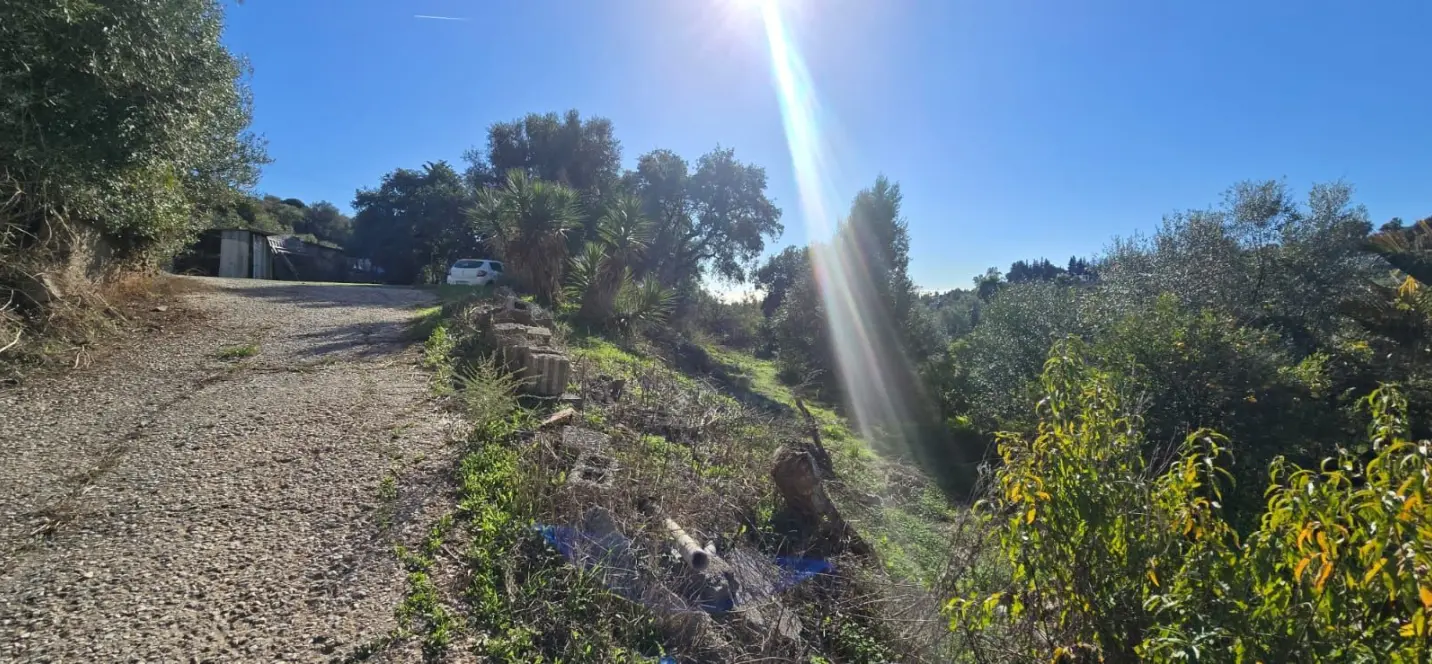 Sale of finca - cortijo in Estepona 4