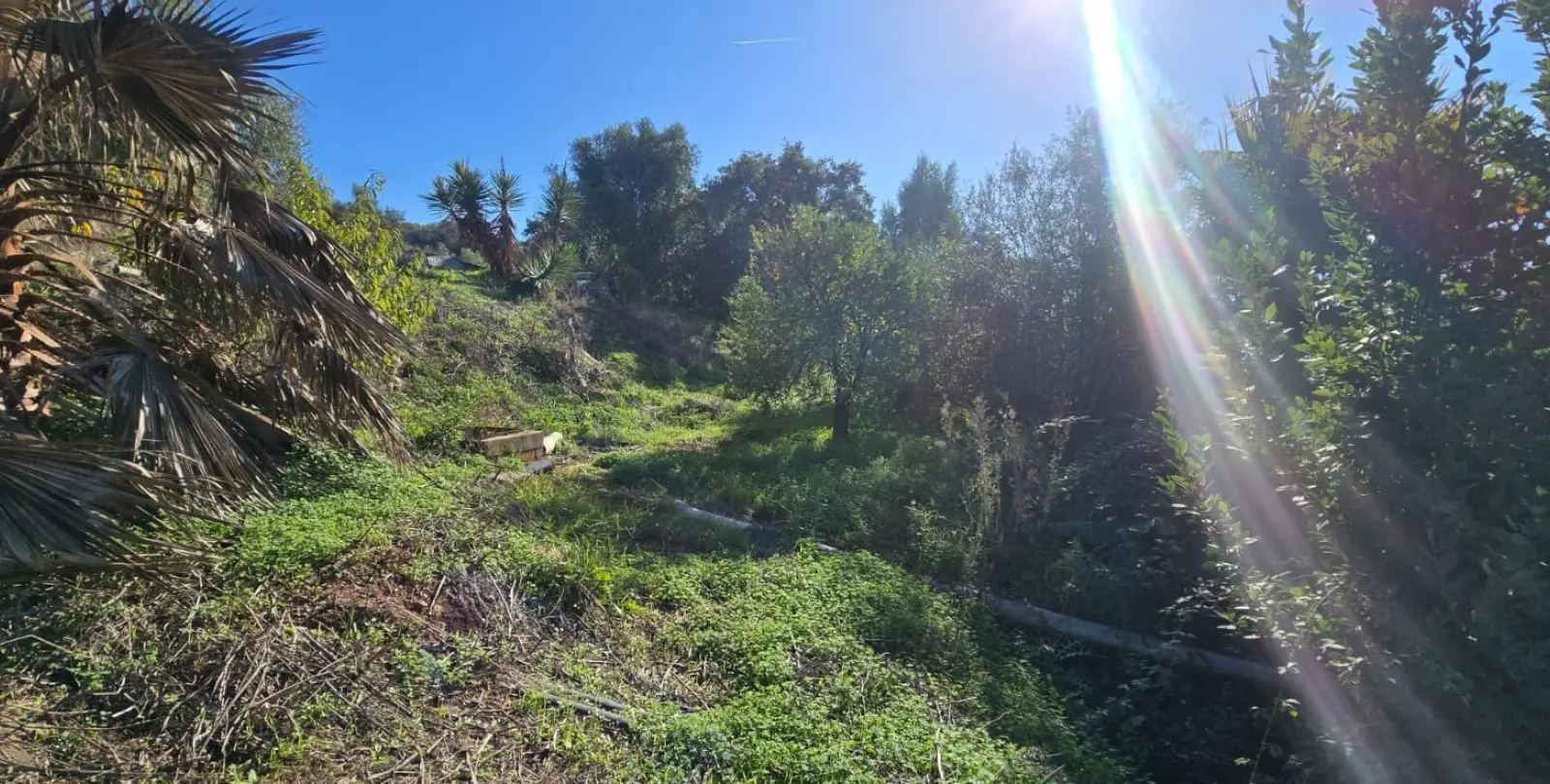 Venta de finca - cortijo en Estepona 6
