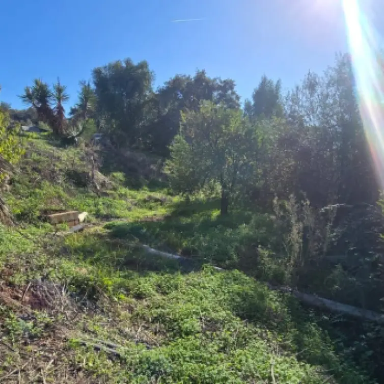 Sale of finca - cortijo in Estepona