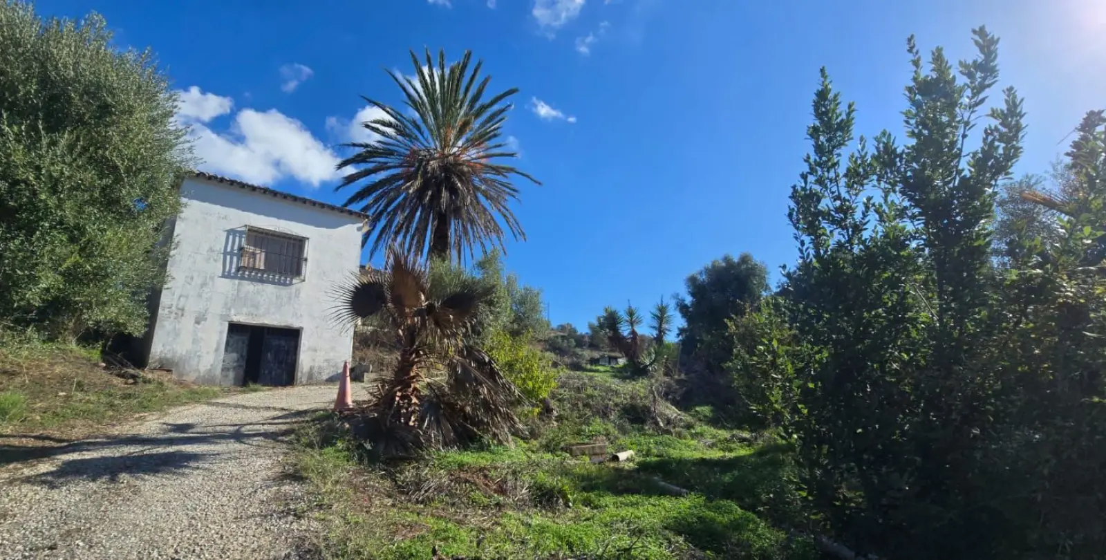 Venta de finca - cortijo en Estepona 8