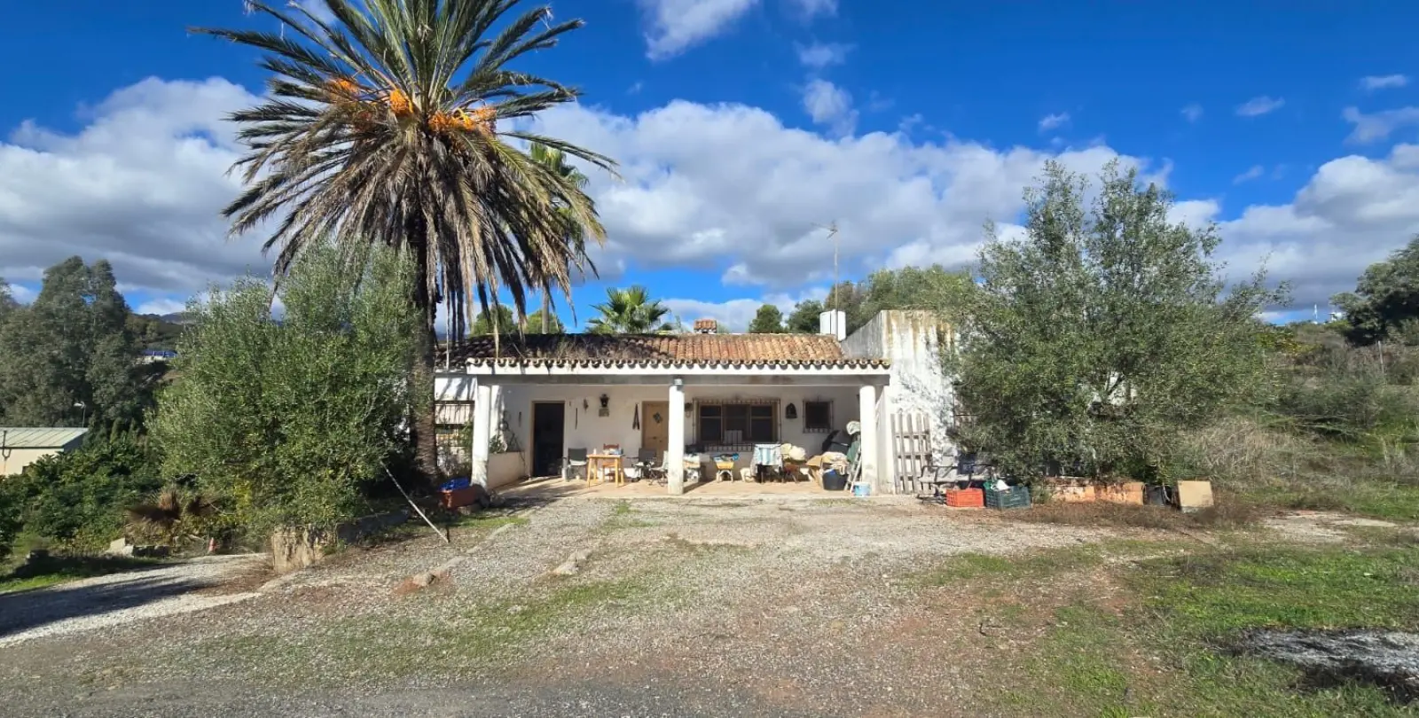 Venta de finca - cortijo en Estepona 9