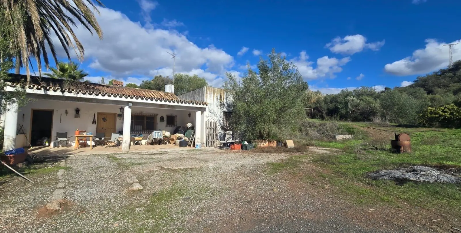 Sale of finca - cortijo in Estepona 1