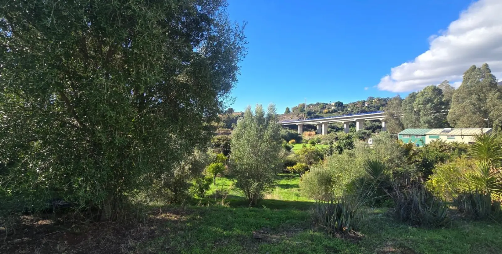 Sale of finca - cortijo in Estepona 3