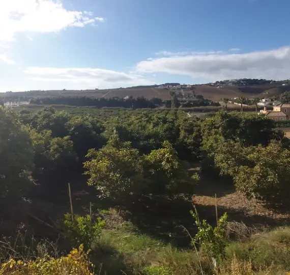 Sale of residential plot in Estepona