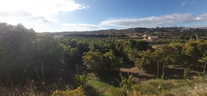 Sale of residential plot in Estepona 0
