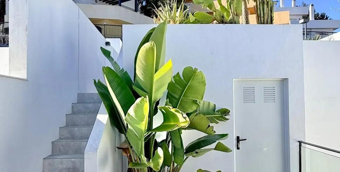 Sale of townhouse in Elviria 37