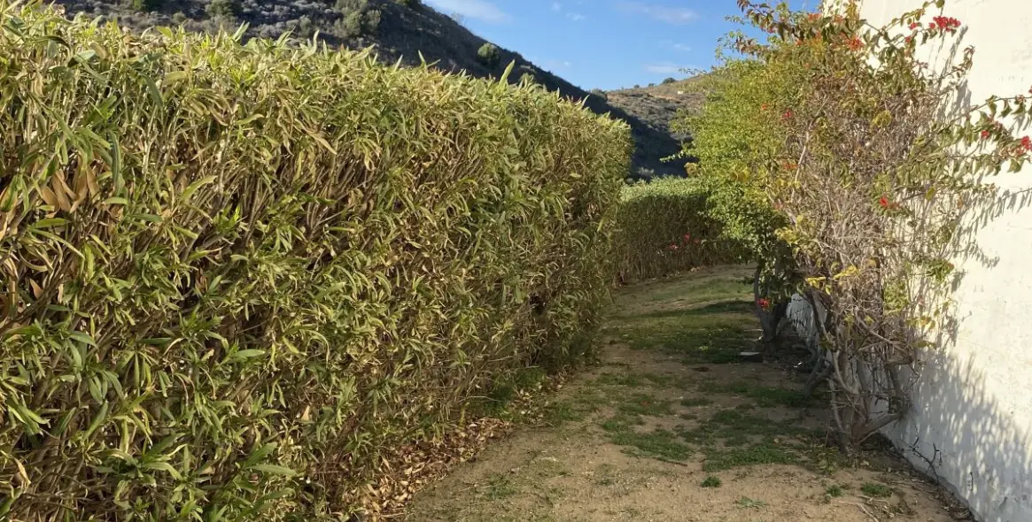 Продажа  отдельно стоящей виллы в Mijas Golf 62