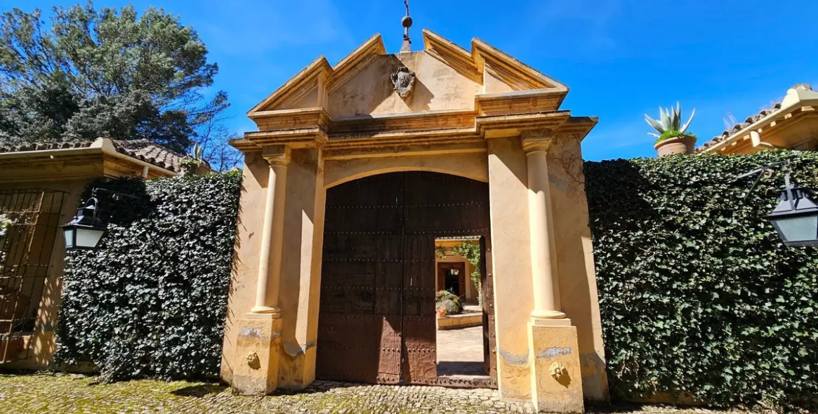 Продажа  отдельно стоящей виллы в Ronda 29