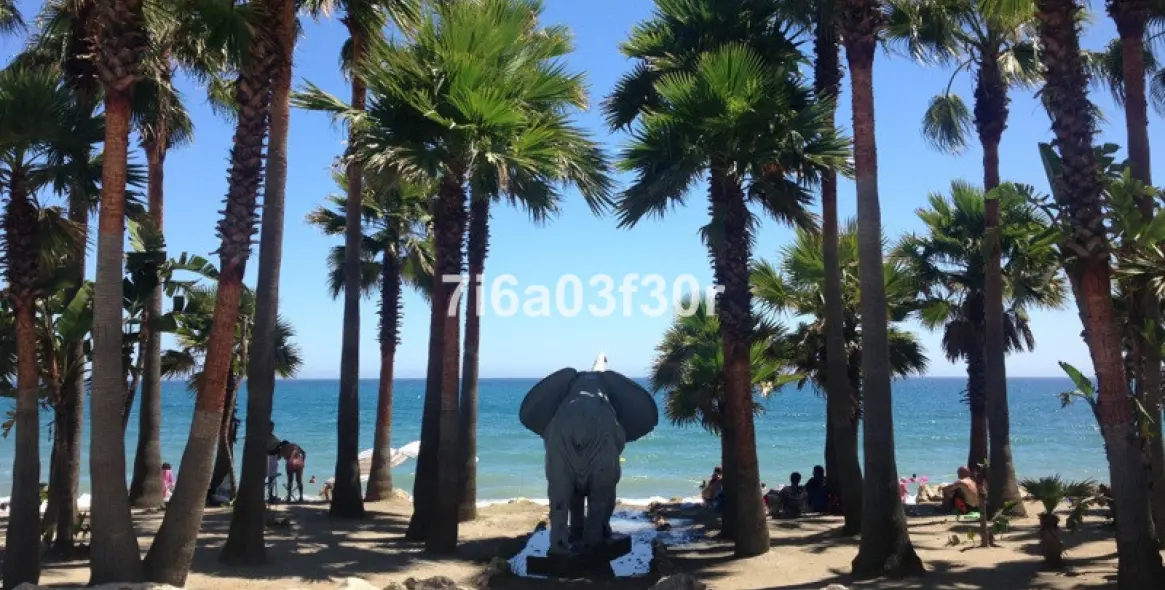 Short-term rent of middle floor apartment in San Pedro de Alcántara 29