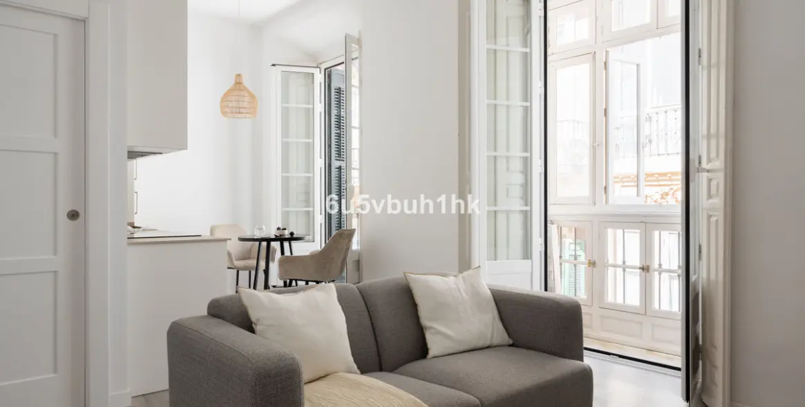 Долгосрочная аренда апартаментов на первом этаже в Malaga 25