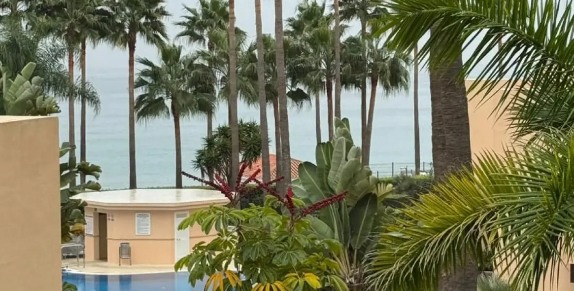 Долгосрочная аренда апартаментов на среднем этаже в New Golden Mile 31