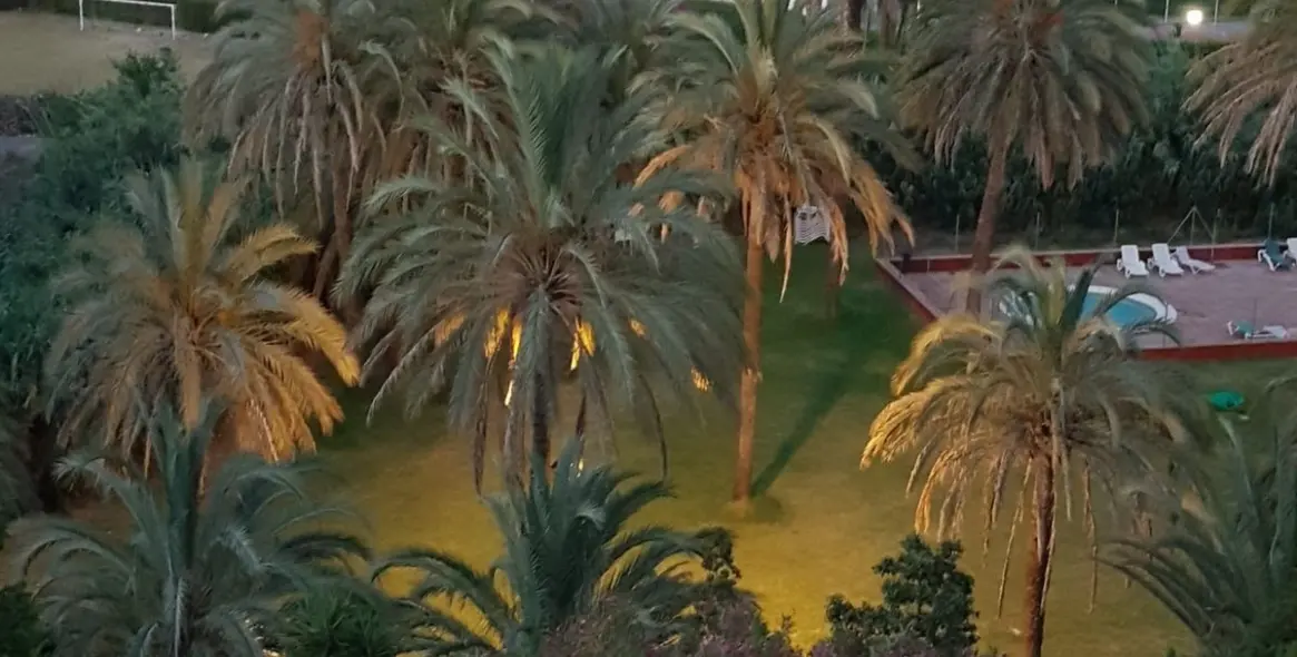 Продажа апартаментов на среднем этаже в Estepona 25