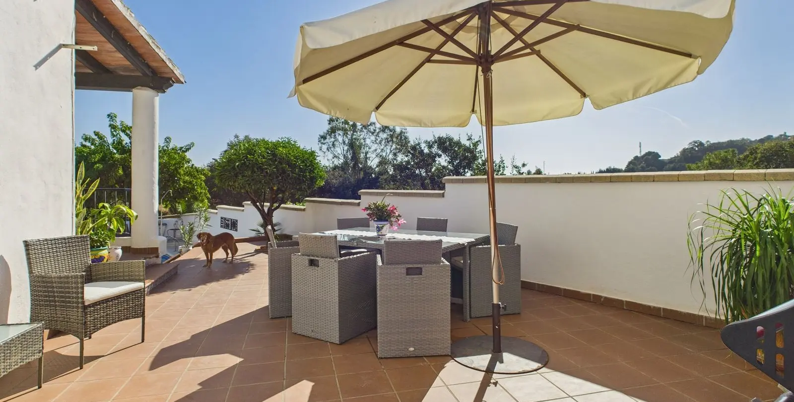 Продажа  отдельно стоящей виллы в Estepona 6