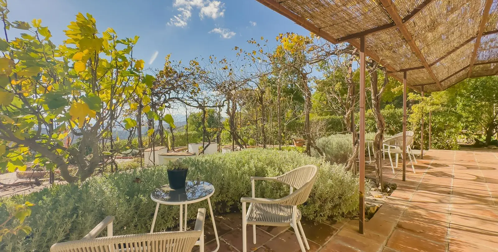 Sale of hotel in Villanueva De La Concepcion 46