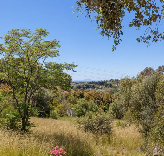 Sale of detached villa in Estepona