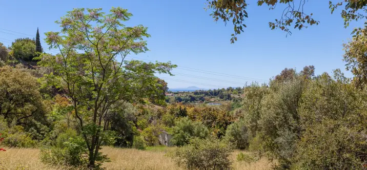 Sale of detached villa in Estepona 2