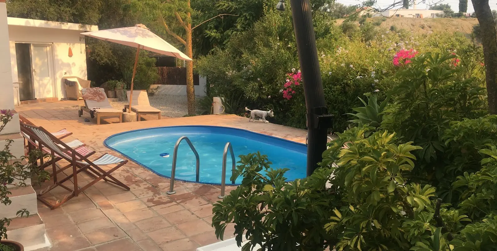 Short-term rent of detached villa in Estepona 14