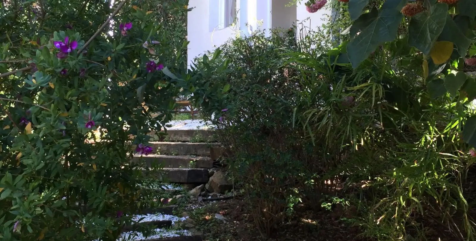 Short-term rent of detached villa in Estepona 26