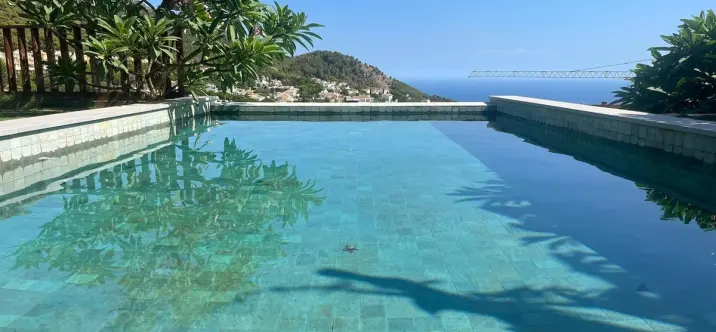 Sale of detached villa in Higueron 0