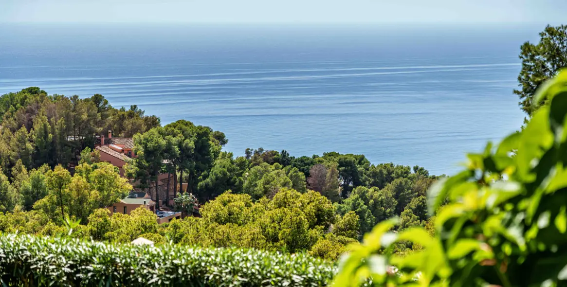 Продажа  отдельно стоящей виллы в Malaga (район Málaga Este) 2