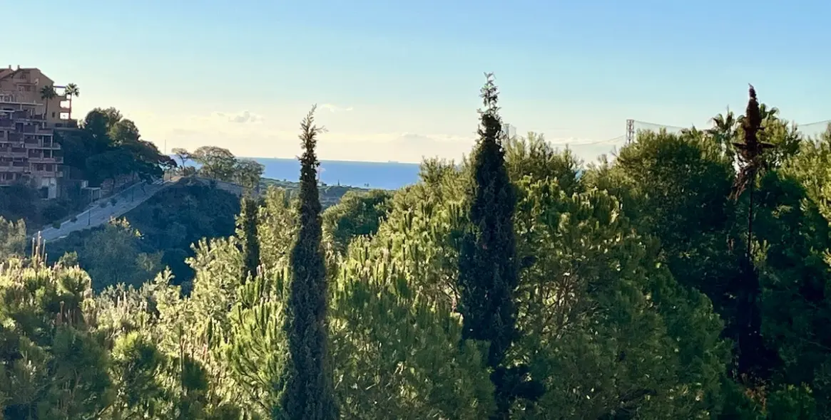 Sale of ground floor apartment in Marbella 17