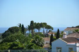 Image 18 thumb