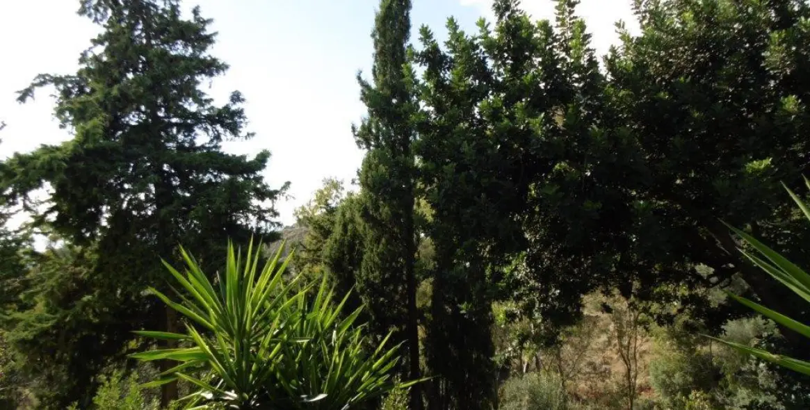 Sale of detached villa in Mijas 13