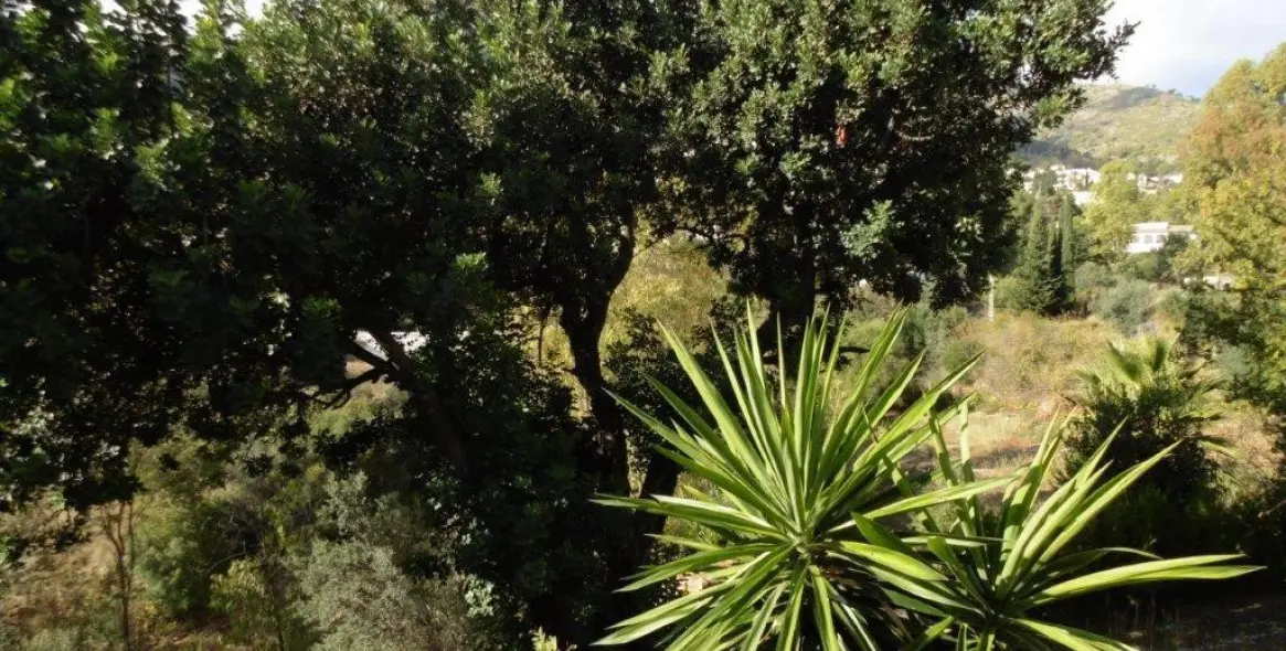 Sale of detached villa in Mijas 16