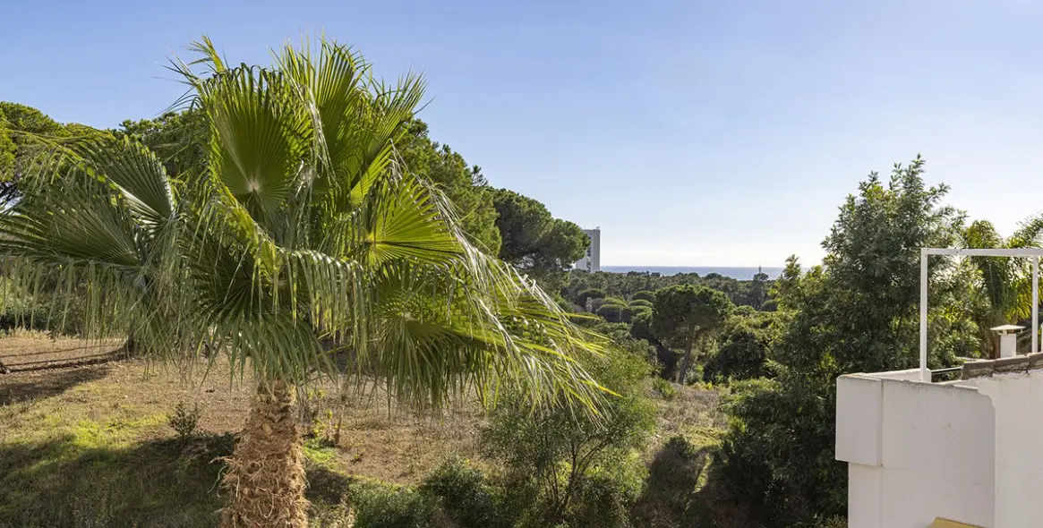 Продажа таунхауса в Elviria 2