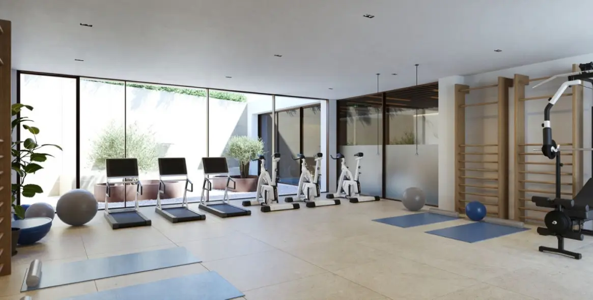 Продажа пентхауса в Cancelada 5