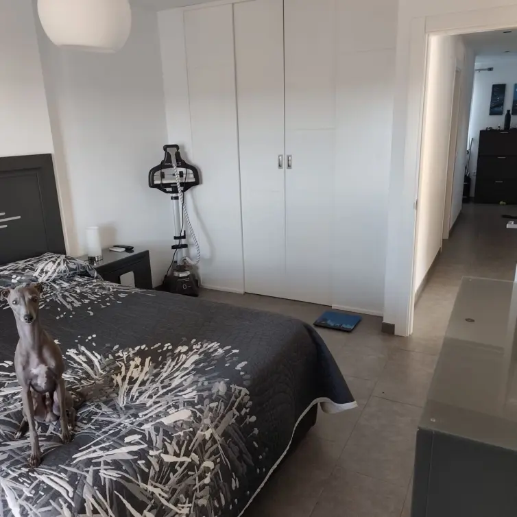 Sale of penthouse in Estepona