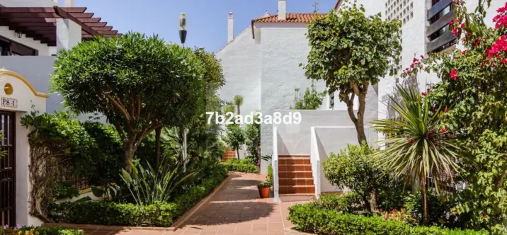Sale of middle floor apartment in Nueva Andalucía 0