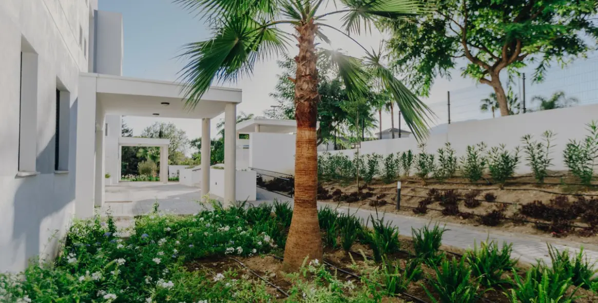 Продажа апартаментов на первом этаже в Estepona (район Estepona) 5