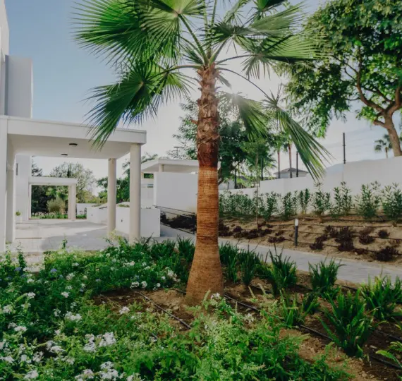 Апартаменты на первом этаже R5231119