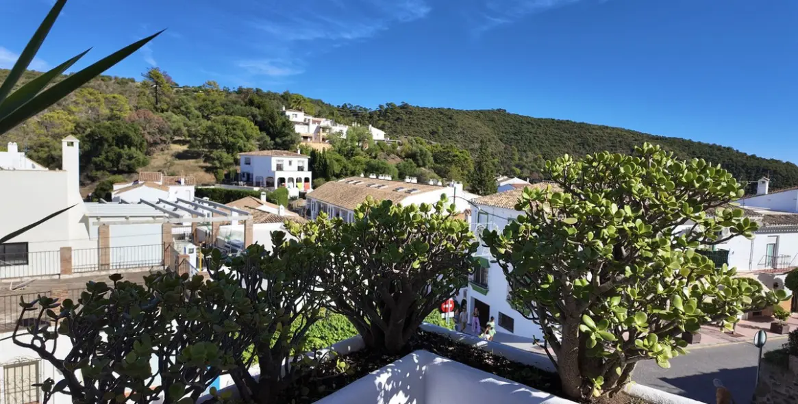 Долгосрочная аренда двухуровневых апартаментов в Benahavís 39