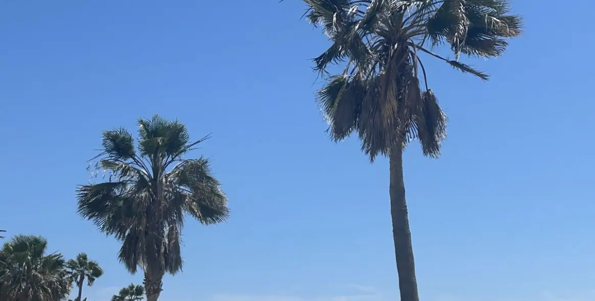 Long-term rent of ground floor apartment in San Pedro de Alcántara 20